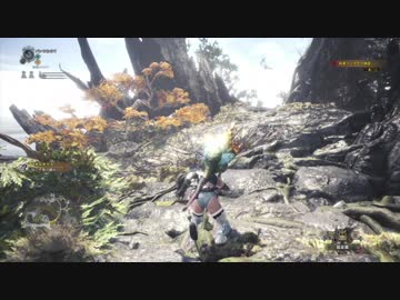 【MHW】納品、ついでに痕跡　危険度2の痕跡14個収集ルート【イベクエ】