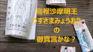 世にも不思議の木・・宝くじの高額当選に、ご利益あるらしいw