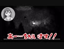 【ホラーゲーム好き】深夜廻を実況するのそら【テンション高め】