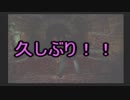 静かな所へ引っ越ししたい人にオススメの町【SILENT　HILL】Part15