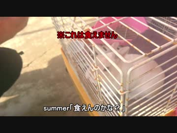 【油冷最大排気量と行く！】もつ煮マスツーリングPART2