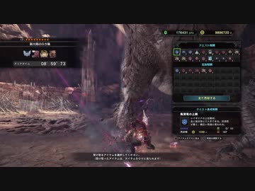 【MH:W】☆9 新大陸の白き風 操虫棍 ガチソロ 08’59”73 (ver.1.06)