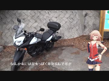 [新潟発]レンタルバイクでちょこっと香川・徳島ツーリング2[バイク×ONE車載]