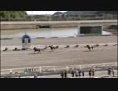 2018年3月11日高知競馬1R C2-6組 マイネルサグラ