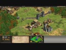 【AOC】10年以上前の4v4対戦リプレイを解説もどきをしつつ眺める Part32