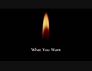 What You Want feat.皐月 - 五味ばこる