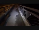 【怪奇現象】てんちゃんの！ガチdeひとりでいかせろ！！【単独心霊動画】過去300人以上身投げしている巨大心霊橋で待ち受けるモノとは？！R-2