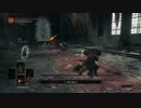 SL1+WL0　カンスト　双王子　マルチプレイ