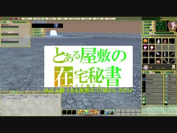 MoE E鯖 ある日のコグ姉さん12