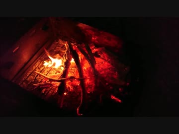 唐桑御崎野営場でニンニクの芽炒めとか気仙沼ホルモンとか