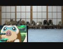 もこうの発狂にびっくりする猫