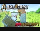 【日刊Minecraft】真・最強の匠は誰か！？絶望的センス4人衆がMinecraftをカオス実況第十一話！