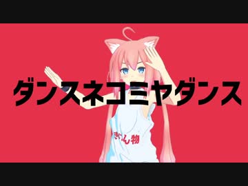 ダンスネコミヤダンス