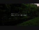 【東方アレンジ】夜のデンデラ野を逝く【蓮台野夜行】