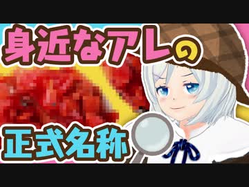 【勉強】本当の名前を調査しました！【為になる雑学】