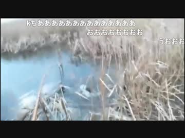 3.14 【魚釣り】宮城もあたたたかいです。釣りです。