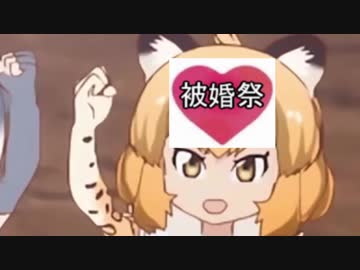 この木なんの木にも登らなあかんしぃ