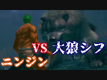 【ソウルシリーズツアー２章】ダークソウル　～託されし使命～part29