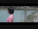 シャムキャッツ MV 「Coyote」