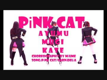 【あゆむ・麦・ケイト】PiNK CAT【踊ってみた】