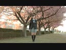 【しらす+】　桜ノ雨　【踊ってみた】