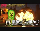 【日刊Minecraft】真・最強の匠は誰か！？絶望的センス4人衆がMinecraftをカオス実況第十四話！