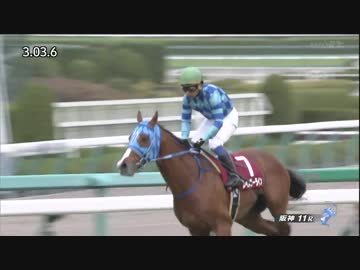 2018年　第66回 阪神大賞典（GⅡ）【レインボーライン】