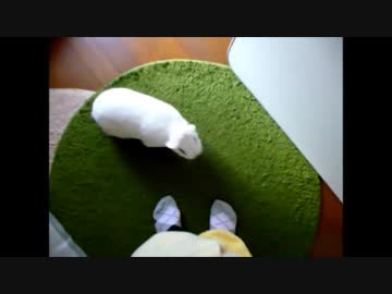うさぎのはちのじそうこう