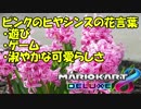 夜香学園というグループ名の由来について【マリオカート8DX】