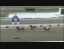 2018年3月18日高知競馬3R 大分のファン協賛 負けるな下村騎手特別(C2-6組) シュタルク