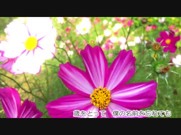 【感謝をこめて】 「 愛してる」 歌ってみた 【hito】