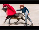 トレロカモミロ神社.mp4