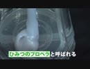 １滴残らず使えるシャンプーボトル開発秘話