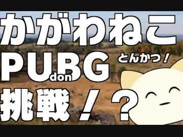 【＾＿＾】うわさのぴーゆーびーじー