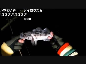 3.17 【魚釣り】海釣り・どんこ？メバル？