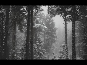 除夜の鐘の音（睡眠用BGM・作業用BGM）