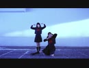 【めぐみ×ゆあ】 イドラのサーカス 【踊ってみた】