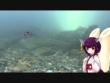 きまぐれ水【上】観察その5