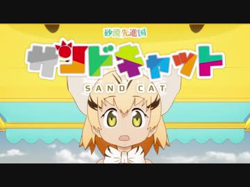 砂漠先進国サンドキャット