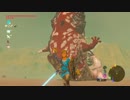 【実況】ゼルダの伝説　ブレス オブ ザ ワイルド を初見実況プレイ part141（DLC第2弾 part3）