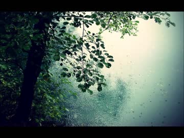 静かな雨が降る音（ASMR・睡眠用BGM・作業用BGM）