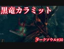【ソウルシリーズツアー２章】ダークソウル　～託されし使命～part30