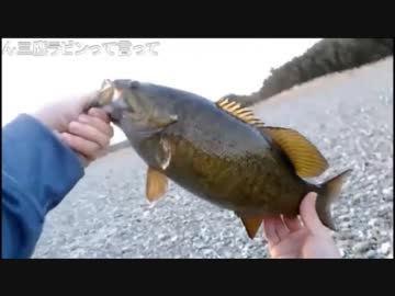 3.20 夕まずめブラックバス釣り