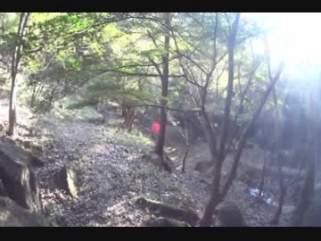 東山公園からのささやかな花壇