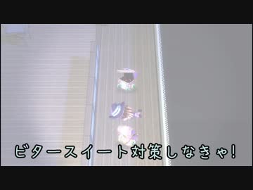 【魔法の女子高生】きりたん魔法使いになる14【ゆっくり＆きりたん実況】