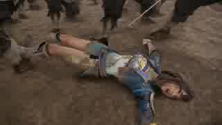 真・三國無双8 辛憲英 チート リョナ