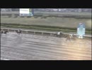 2018年3月21日浦和競馬12R 春分の日（しゅんぶんのひ）特別(B2-三・B3-一) シュンプウ