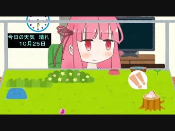 観察日記―７日目