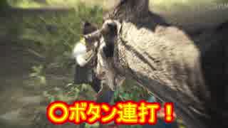 【MHW】抹茶さんとイビルジョーとファンゴ(ゆっくり実況)