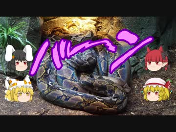 ほぼ公共交通機関で行く諸国一の宮参拝 其の陸第一夜【和泉国・大和国】